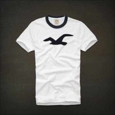 Hollister Men Shirts-432